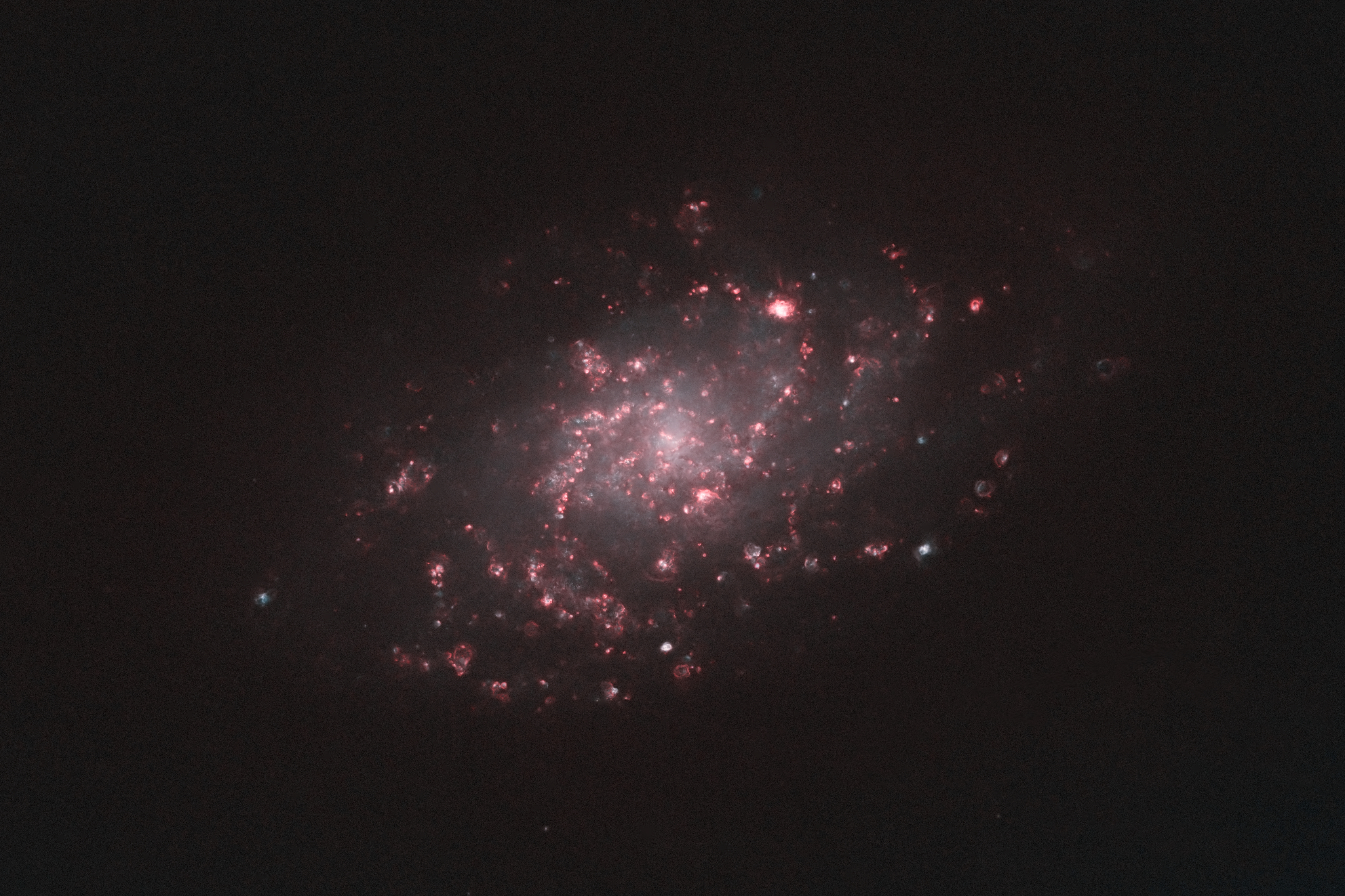 M33_2023_HO_starless