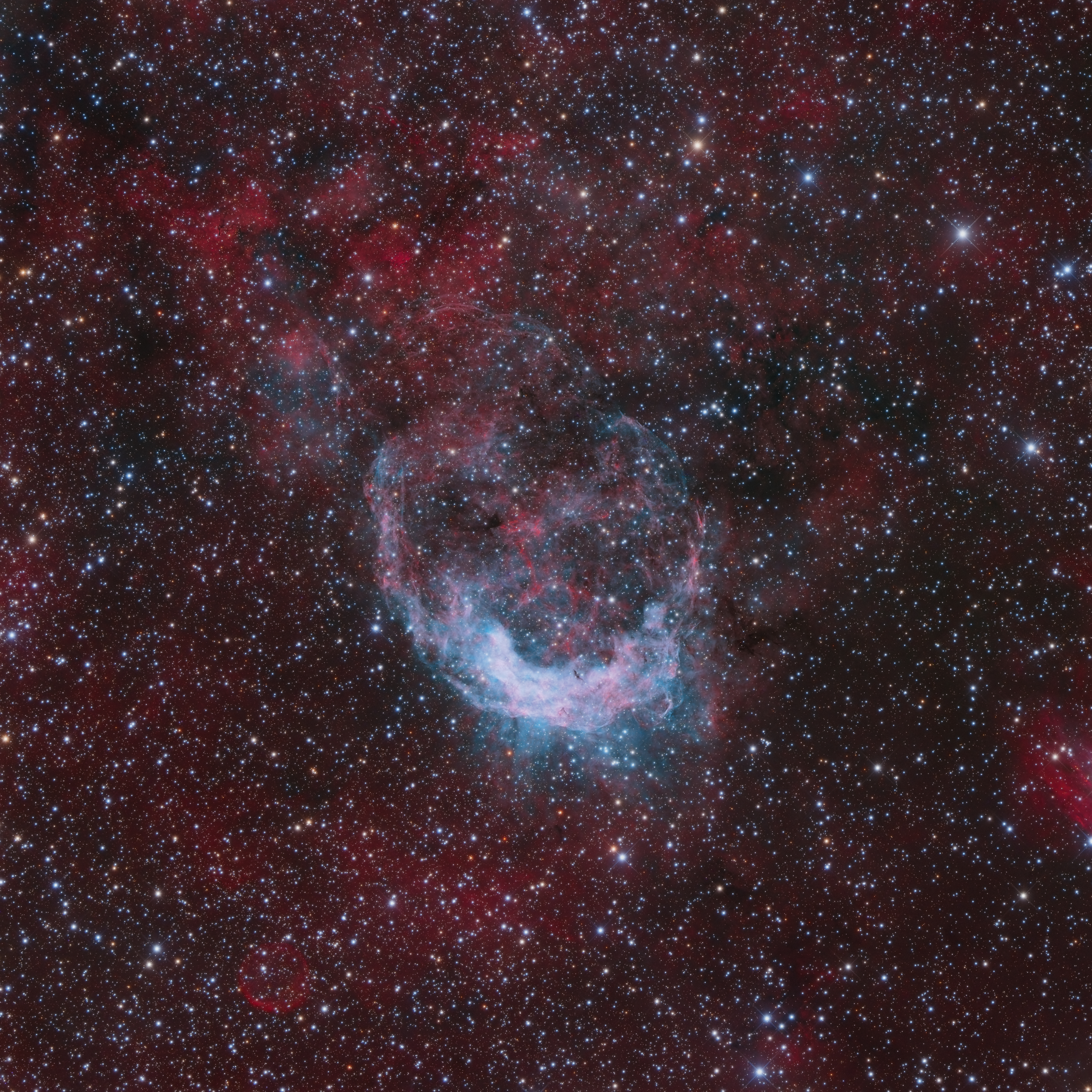 NGC3199_RGB-HO